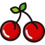 Cherry Icon